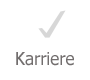 Karriere